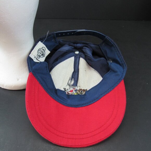 ACME Kids 1992 Warner Bros Taz, Tweety, Bugs and Sylvester Snapback Cap Hat - Picture 7 of 9